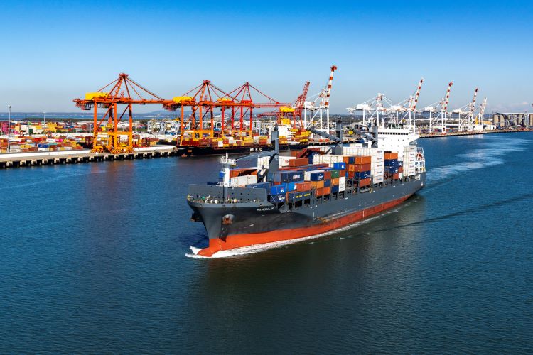 A large container ship floats on the water, with several cranes positioned along the shoreline.